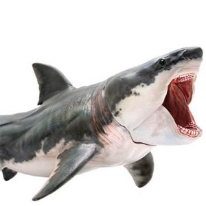 Wall